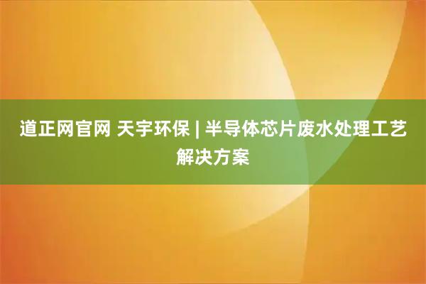 道正网官网 天宇环保 | 半导体芯片废水处理工艺解决方案