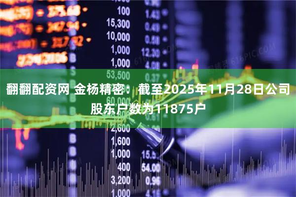 翻翻配资网 金杨精密：截至2025年11月28日公司股东户数为11875户