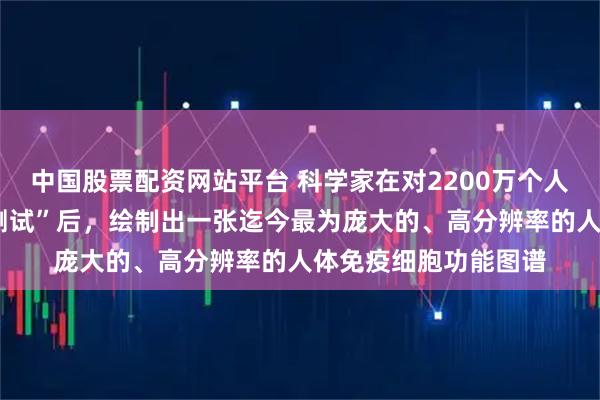 中国股票配资网站平台 科学家在对2200万个人类T细胞进行“压力测试”后,绘制出一张迄今最为庞大的、高分辨率的人体免疫细胞功能图谱